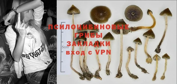 спайс Балахна